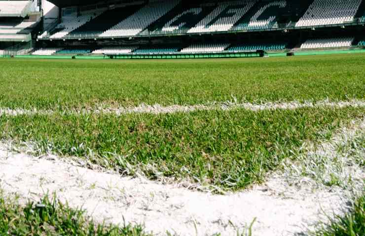 Zona del calcio d'angolo di un campo di calcio in uno stadio.